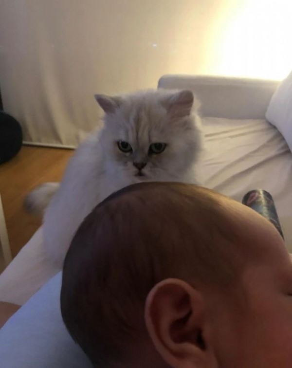 Duygulandıran veda paylaşımı